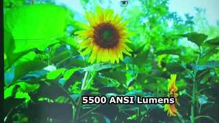 پروژکتور 3LCD Laser Native 4K 3840X2160 Short Throw Resolution